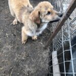 598eb715 4015 4096 989d 96126e52bf69