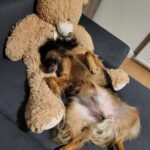 60dc3ef7 32fb 4025 909c f263d24b1c1e