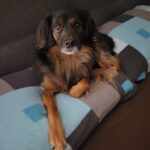 6581a489 8bd1 436f b79b 8b175098c52e