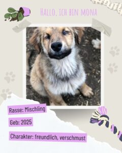 675dca67 b41b 461b bb0c f5d7bdc58146