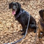 698fa4a7 3cbd 468a 8fc8 c7995ac83412