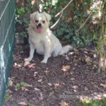 73f136be 95f5 456b 98de 73e65be6af99