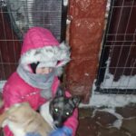 7bfe61e7 9a44 425c aebb 1e55b06eed60