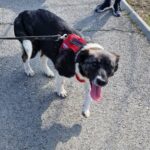 80ebf896 54e6 4162 93dd aea27da237a7