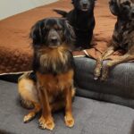 8adb11a1 abb6 43d7 9471 09e183d3ce58