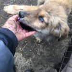 94bb5934 13f0 49ae 8175 c7b13d3f3203