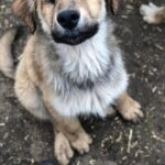 9d0964eb 35ab 476c b712 c520e2e4f82e