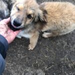 A5216489 754b 4faf 939e 6ff9768d1c37