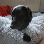 A928ad8e dcc9 4cc6 a54c ae6b85feb994