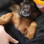 Ab59b4c5 9011 4aaf 8e1e 10efbdfb0ebc