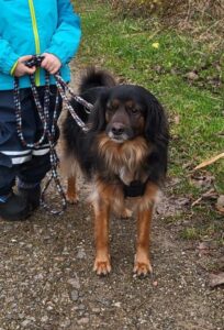 Cabf2559 8302 409a 8e34 f8f26651cb44