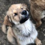 D045562f 05e5 46ca bd0f 18b1011a8138