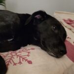 E431233d 6b50 4242 b393 082538ad4935