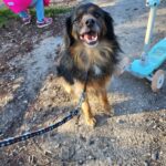 E8c28d88 c7aa 4b92 a8f9 565694acacb3