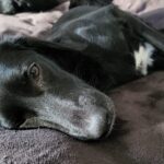 F027e248 b466 45ef b5a6 e47356f1021b