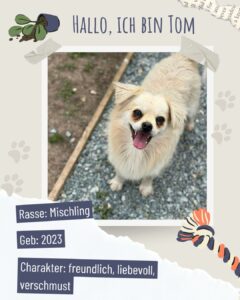 F3d478df 8b8e 4af7 9c28 7dd20e4206dd