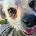 F5c33f58 f23d 4e61 9b02 df2819b5e7fb