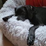 F7b0cc3e 8577 4025 aeef 3d3fb051de71