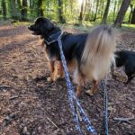 Fa3296a9 55c2 420b a489 9d7e298f7693