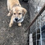 Fead8535 bf2a 4088 aa1d ba0e99684cdb