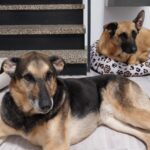 Dd4d54b2 9d0f 4e16 8b20 c394699fc954