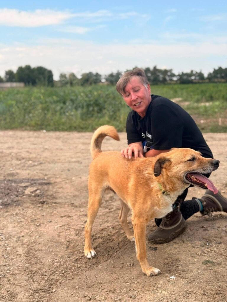 Img 4704